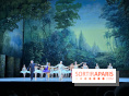 La Bayadère de Noureev à l'Opéra Bastille