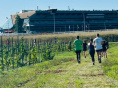 2ème édition du Viti-trail de 10 km du Domaine de Paris Gravelle Dimanche 6 septembre 2026