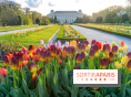 Tulipes et coquelicots, des floraisons exceptionnelles pour les 400 ans du Jardin des plantes 
