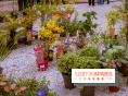 Jardins en fête à Auvers 91