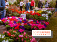 Fête des plantes de Méry