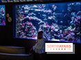 L'Aquarium Tropical de la Porte Dorée se renouvelle 