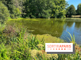 Fête de la Nature à Issy-les-Moulineaux, le programme gratuit