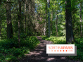 Nuit des forêts Rambouillet 2023