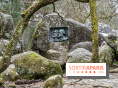 Nuit des Forêts à Fontainebleau 2023 entre art, nature et découvertes gratuites