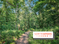 Les Nuits des Forêts 2023 dans le Val-d'Oise (95) : Le programme