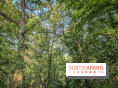 Les Nuits des Forêts 2023 en Seine-Saint-Denis (93) : Le programme