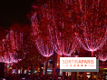 Illuminations de Noël 2025 des Champs-Elysées : un spectacle son et lumière inédit tout au long de la saison