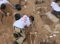 Visite d'un chantier de fouilles au cœur d'une nécropole pour les Journées de l'Archéologie
