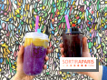 TreeTea : le salon de thé mignon à Paris aux bubbles tea et boissons ultra originales 