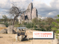 Zoo de Vincennes, Parc Zoologique de Paris 2017