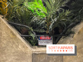 RAPTOR Project : l'escape game avec des dinosaures plus vrais que nature chez The Escape Lab