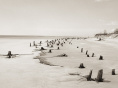 Corps littoral : l'exposition de Camille Guichard à la galerie Rachel Hardouin