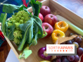 Hors-Normes : Des paniers de fruits et légumes bio pour lutter contre le gaspillage alimentaire