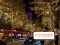 Les illuminations de Noël 2025 du Boulevard Haussmann - date de lancement