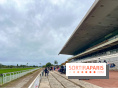 Réouverture de l'Hippodrome de Maisons-Laffitte (78) : courses de poneys et animations gratuites
