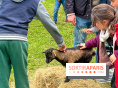 Festival de la Terre 2026 à Montesson (78) : marché des saveurs, ateliers jardinage & ferme pédagogique