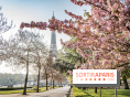 Visuel Paris Tour Eiffel cerisiers en fleurs