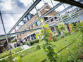 L'Atelier, jardins de l'Abbaye
