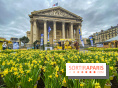 Une Jonquille pour Curie au Panthéon