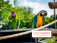 Parrot World, le parc animalier immersif d'Île-de-France