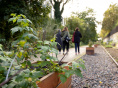 Jardin des Traverses : un espace de détente et d'agriculture urbaine sur la Petite Ceinture