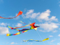 Festival de Cerfs-Volants : Base 2017