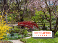 Les jardins du Musée Albert Kahn, nos photos