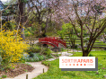 Les jardins du Musée Albert Kahn, nos photos
