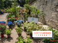 Jardins jardin aux Tuileries 2022