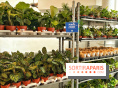 Plantes pour Tous, les prochaines ventes de plantes à partir de 2€ à Paris