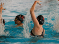 visuel piscine