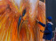 Exposition street-art Sax - Eglise de la Madeleine