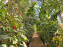 Le Jardin des Serres d'Auteuil
