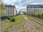 Balade sur la Petite Ceinture du 19e - IMG 1954