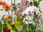 Esprit Jardin à Versailles - Marché aux plantes et animations