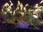 Visuels feux d'artifice - 20140913 215658