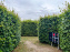 Les labyrinthes de Gally 2023
