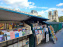 Bouquinistes des quais de Seine - 155834