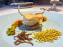 Inoveat, le restaurant gastronomique d'insectes à Paris - nos photos