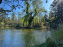 Lac de Saint-Mandé - nos photos - WhatsApp 03 22 à 16.12.39 4c5a0a5e
