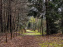Arbor&Sens, l'Arboretum de Franchard en forêt de Fontainebleau - les photos