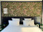 Hôtel Rosalie - Chambre