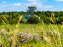 Le Parc du peuple de l'herbe dans les Yvelines - Étang de Galiotte - Carrières-sous-Poissy