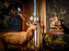 Musée de la chasse et de la nature - collections permanentes et visuels