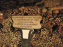 Les Catacombes de Paris - visuels  - fotor 1749245949100