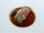 Geoélia - Sucrine braisée, jus de homard, sauce Grand Veneur