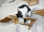 Koneko Work : le café coworking pour travailler en compagnie des chats - DSC 5262