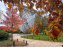 Gerhard Richter : l'exposition retrospective évènement en octobre à la Fondation Louis Vuitton  - 2