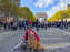 La Marche des animaux à Paris : défilé gratuit, ouvert aux chiens, chats ... sur les Champs-Élysées